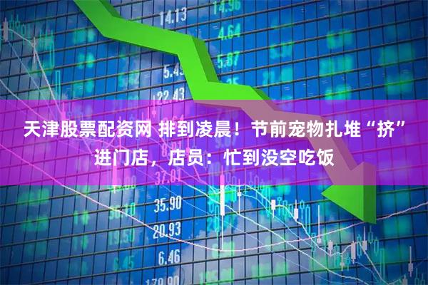 天津股票配资网 排到凌晨！节前宠物扎堆“挤”进门店，店员：忙到没空吃饭